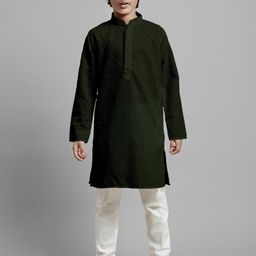 Sangria Boys Green Chikankari Embroidered Straight Kurta-picture-26