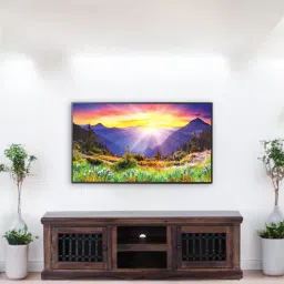 royaloak Hilton TV Console In Brown Finish-picture-28