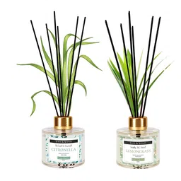 SOUL & SCENTS Transparent 2 Pcs Reed Diffuser Set With 6 Reed Sticks-19