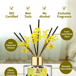 The Aroma Factory Transparent Citrus lemon Reed Diffuser image 5