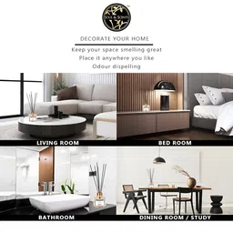 SOUL & SCENTS White 3 Pieces Fragrance With 6 Reed Sticks Diffuser Set 120 ml Each image 4