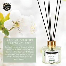 SOUL & SCENTS Transparent Jasmine Fragrance Reed Diffuser Set With 6 Sticks-120 ml image 5