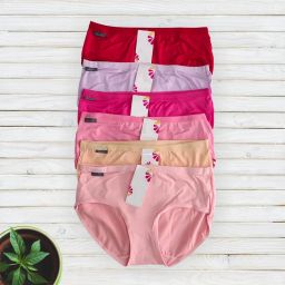 Pack of 6 Women Bikini Multicolor Panty-image-71