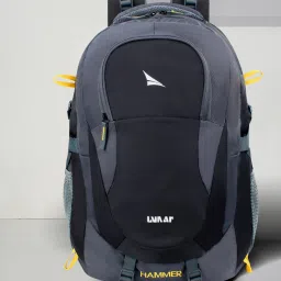 Large 50 L Laptop Backpack High Quality 50L Travel Laptop Bag upto 17.3" Laptop with Rain Cover and Internal Organiser-image-12