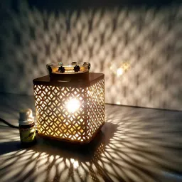 Lemon Grass Diffuser/Burner Aroma Oil-image-73