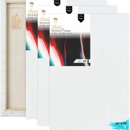20 X 30 STRETCHED CANVAS Cotton Medium Grain Stretched Canvas Board, Pre Stretched Canvas, Primed Canvas Board, Board Canvas (Set of 2)-13