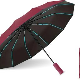 12-Rib Windproof Folding Umbrella – Auto Open/Close Umbrella-image-55