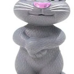 Talking Tom Cat Toy for Kids | Voice Repeating | Touch Activated 183-image-77