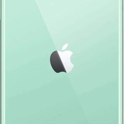 RODIAN apple iphone 11 Back Panel-32