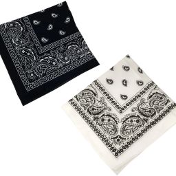 Men, Women Printed Bandana-image-20
