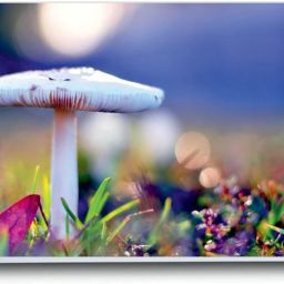 UNIXAA Vinyl Laptop Skin Sticker For 15.6 Inch Laptop Decal sticker 3216 Vinyl Laptop Skin Compatible for 15.6 inch-image-2