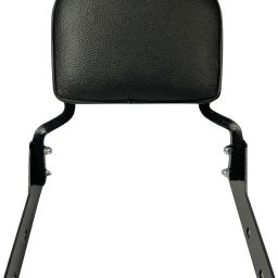 dhe best Adjustable Passenger Backrest image 4