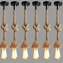 Pendants Ceiling Lamp-picture-18