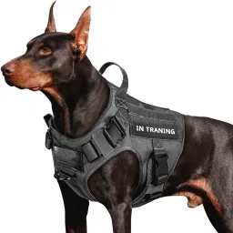 Dog & Cat Training Harness-27