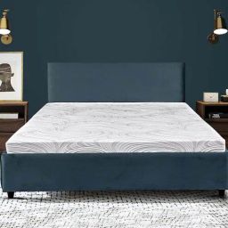 restolex Siesta 6 Inch Organic Latex Mattress In Single Size-picture-5