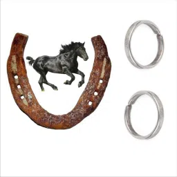 black horse shoe with black horse shoe ring stylish Iron Yantra-image-27