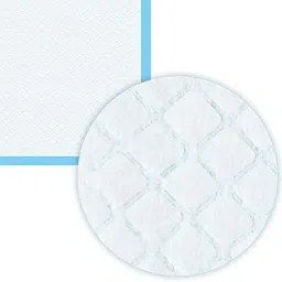 furry castle Basics Dog and Puppy Pee Pads,Leak-Proof Design&Quick-Dry Surface(XL ,30 Count) Dog, Cat Pet Mat image 2