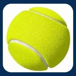 New-Tennis _295Pack of 6 Tennis Ball-image-89