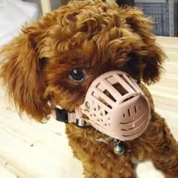 Puppy Dog Muzzle For Small Puppies, Basket Dog Muzzle/Adjustable Strap Extra Small Other Dog Muzzle-image-26