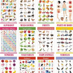 Early Learning Educational Charts Set for Kids | Set of 6 Charts ( Printed on Both Sides ) | 31 x 45 cm | Non-Tearable and Waterproof | Perfect for Homeschooling, Kindergarten and Nursery Students | Alphabet, Numbers, Birds, Animals, Fruits, Vegetables, Shapes, Colours, Parts of Body, Vehicles, Domestic Animals & Flowers Chart Photographic Paper-3