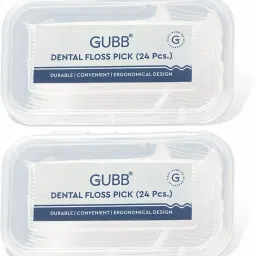 Dental Floss Pick Pack of 2 - 24 Picks Each-image-1