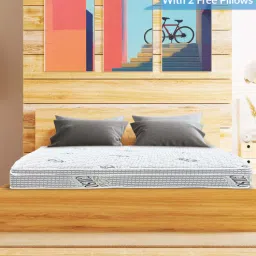 gilson Platinum Orthopedic Euro Top 10 Inch Memory Foam With Spring King Size Mattress (With 2 Free Pillows)-picture-0