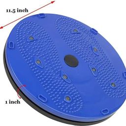 Fitness Tummy Twister cum Acupressure_aa Ab Exerciser-image-55