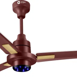 I Tome Plus 5 Star 1200 3 Blade Ceiling Fan-picture-13