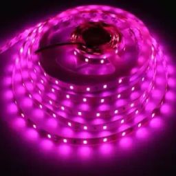 240 LEDs 4 m Pink Steady Strip Rice Lights-4