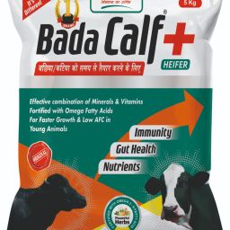 Calf immunity booster & healthy calf, Strong Calf, Calf to Adult Pet Health Supplements-image-65