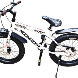 20*300 20 T (inch) Fat Tyre Cycle-image-34