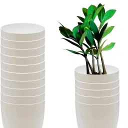 Plant Container Set-image-73