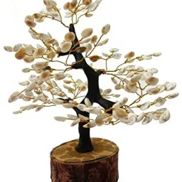 Natural & Original Gomti Chakra | Gomati Chakra Tree for Good Luck & Prosperity (100 Beads Approx) Decorative Showpiece - 20 cm-image-74