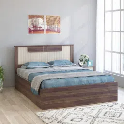 spacewood Kosmo Eco Queen Bed In Lyon Walnut Finish With Lifton and Hydraulic Storage-picture-34