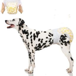 Disposable Female Dog and Cat Diapers, Pull-Up Puppy In Heat Period Diapers Disposable Dog & Cat Diapers-image-98