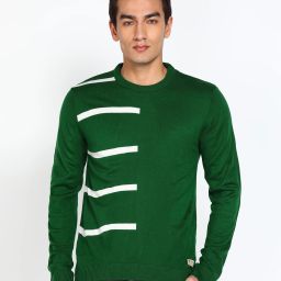 Men Striped Round Neck Green Sweater-image-32