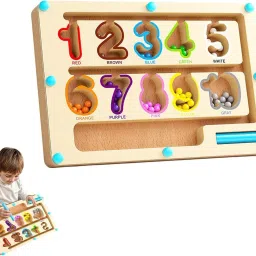 Wooden Magnet Board Counting & Color Sorting For Toddler Educational Activities-18