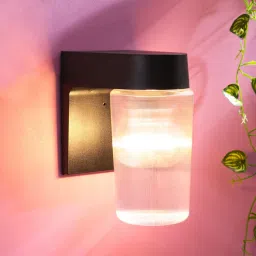 superscape outdoor lighting Myla Transparent Glass Outdoor Wall Light-picture-45