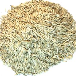 Premium Special Bird Food(500 gm) .5 kg for Finches, Budgies, Conures, Lovebirds, Cockatiels, African Grey, Macaws, Cockatoo 0.5 kg Dry New Born, Adult, Young, Senior Bird Food-16