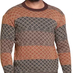 Men Self Design Round Neck Brown Sweater-picture-28
