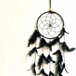 Feather Dream Catcher Wall Hanging black 22 cm Black and white Feather Dream Catcher-image-68
