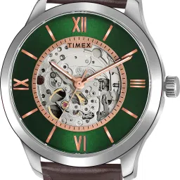 timex Automatic Green Dial Analog Watch - For Men TWEG208SMU06 image 3