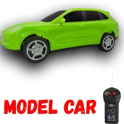 Sleek Velocity RC Car Built for Competitive Action-48