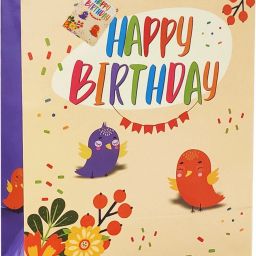 Printed Party Bag-3