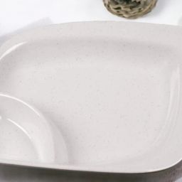 New 1 Chip & Dip Tray-picture-18