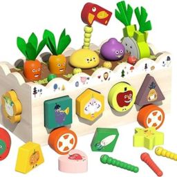 Wooden Vegetables Sorting Toy-21