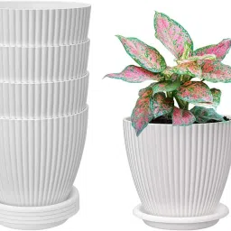 Flower Pots with tray for Home & Decoration Planters,Terrace,Garden Etc Plant Container Set-12