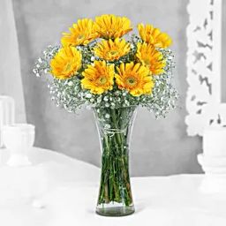 Yellow Mystique Gerbera Vase-image-42
