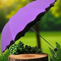 Travel Compact Magic Umbrella 3 Fold Umbrella for Girls, Women_9197 Umbrella-image-96