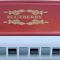 blueberry H-2403 24 Holes Key C Mouth Organ | 48 Tone | Scale Changer With Case For Professional, Beginners, Student Harmonica image 4